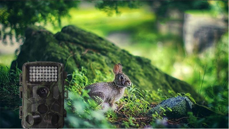 Wildlife Hunting Trail Camera by Arizona Desert Gear
