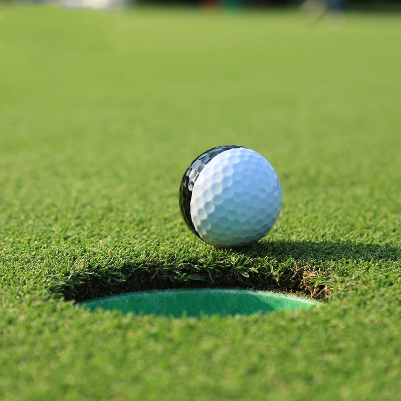 Golf Two-Tone Two-Layer Putting Practice Training Ball Tool by Arizona Desert Gear