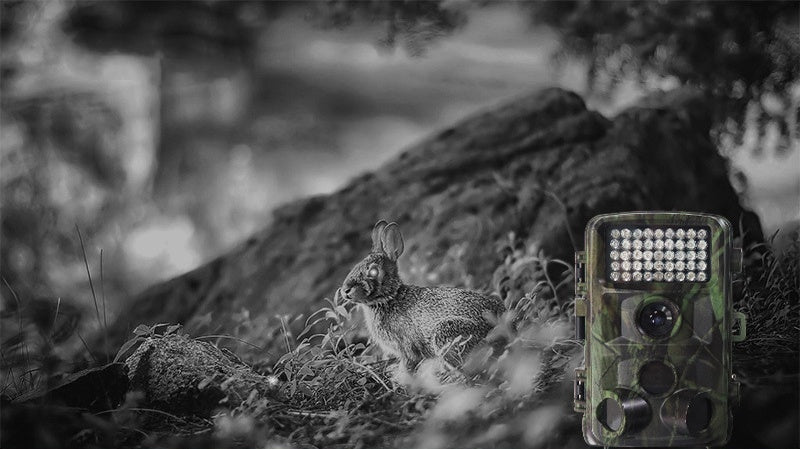 Wildlife Hunting Trail Camera by Arizona Desert Gear
