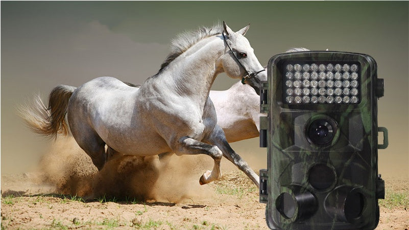 Wildlife Hunting Trail Camera by Arizona Desert Gear