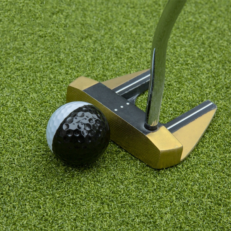 Golf Two-Tone Two-Layer Putting Practice Training Ball Tool by Arizona Desert Gear