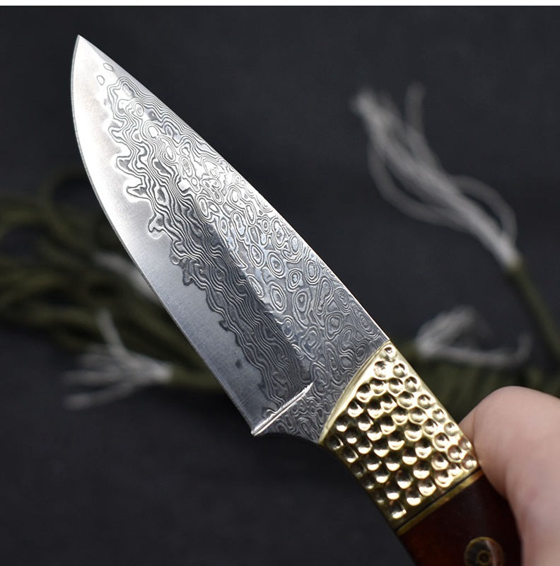 Small Damascus Steel Straight Camping Hunting Knife High Hardness by Arizona Desert Gear